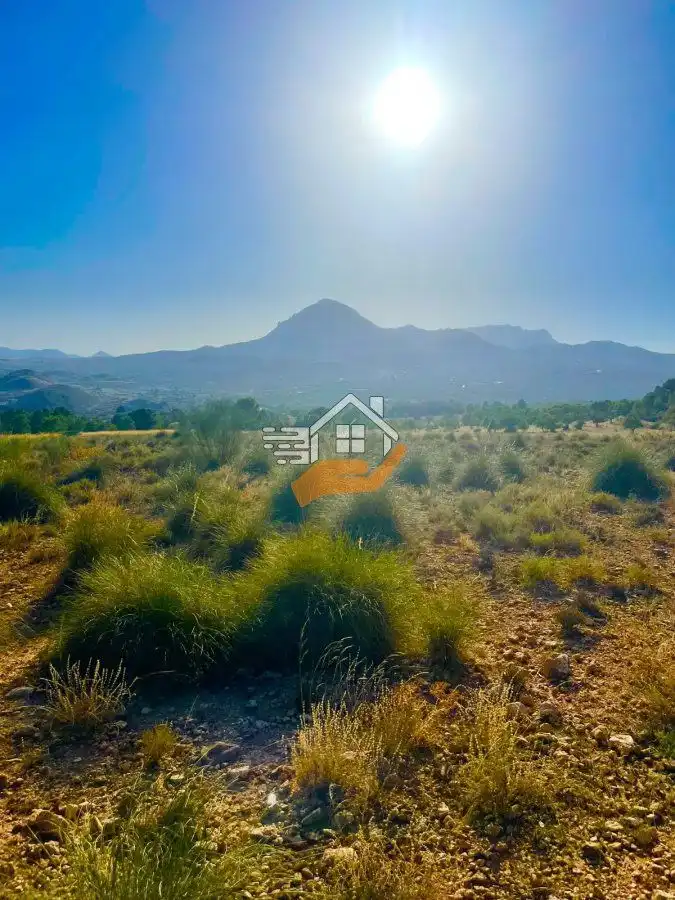 Terrenos y solares en venta en Vélez-Blanco, imagen 13