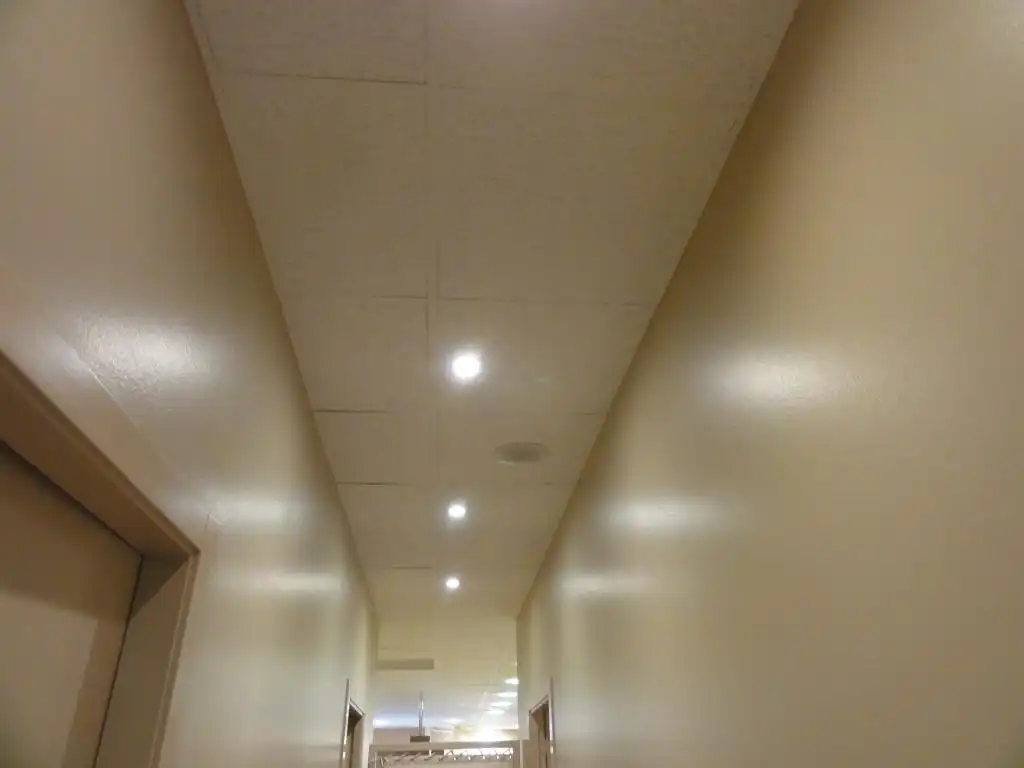 Local comercial de lloguer a SARDANA 2, imagen 21