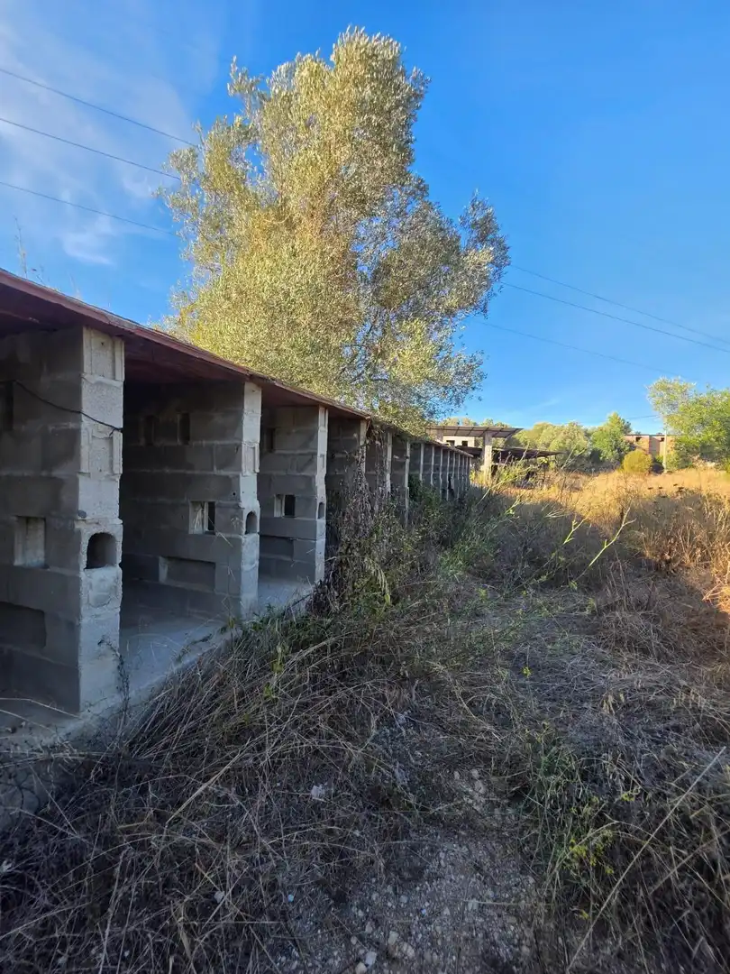 Terreno rustico in vendita a Grau - Quintanes, imagen 19