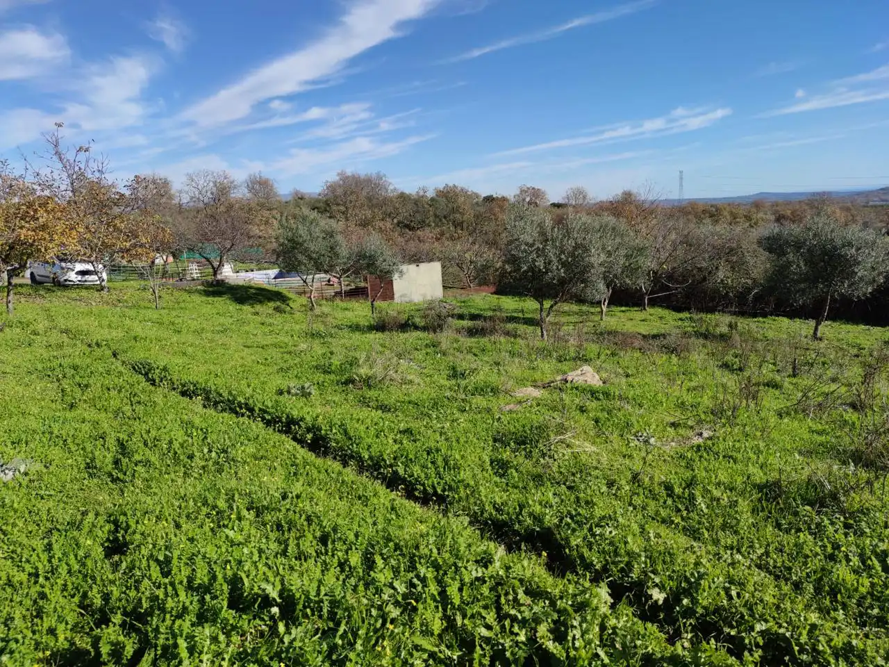 Finca rústica en venta en Santa Barbara, Malpartida de Plasencia