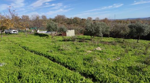 Foto 5 de Finca rústica en venda a Santa Barbara, Malpartida de Plasencia, Cáceres