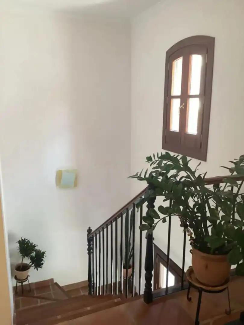 Adosado en venta en Calle la Pacheca Alta 22, imagen 15