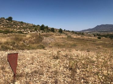 Terreny rústic en venda a Jumilla
