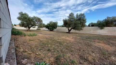 Photo 3 of Residential for sale in Urbanizacion del Casquero, 43, Arco Norte - Avda. España, Dos Hermanas