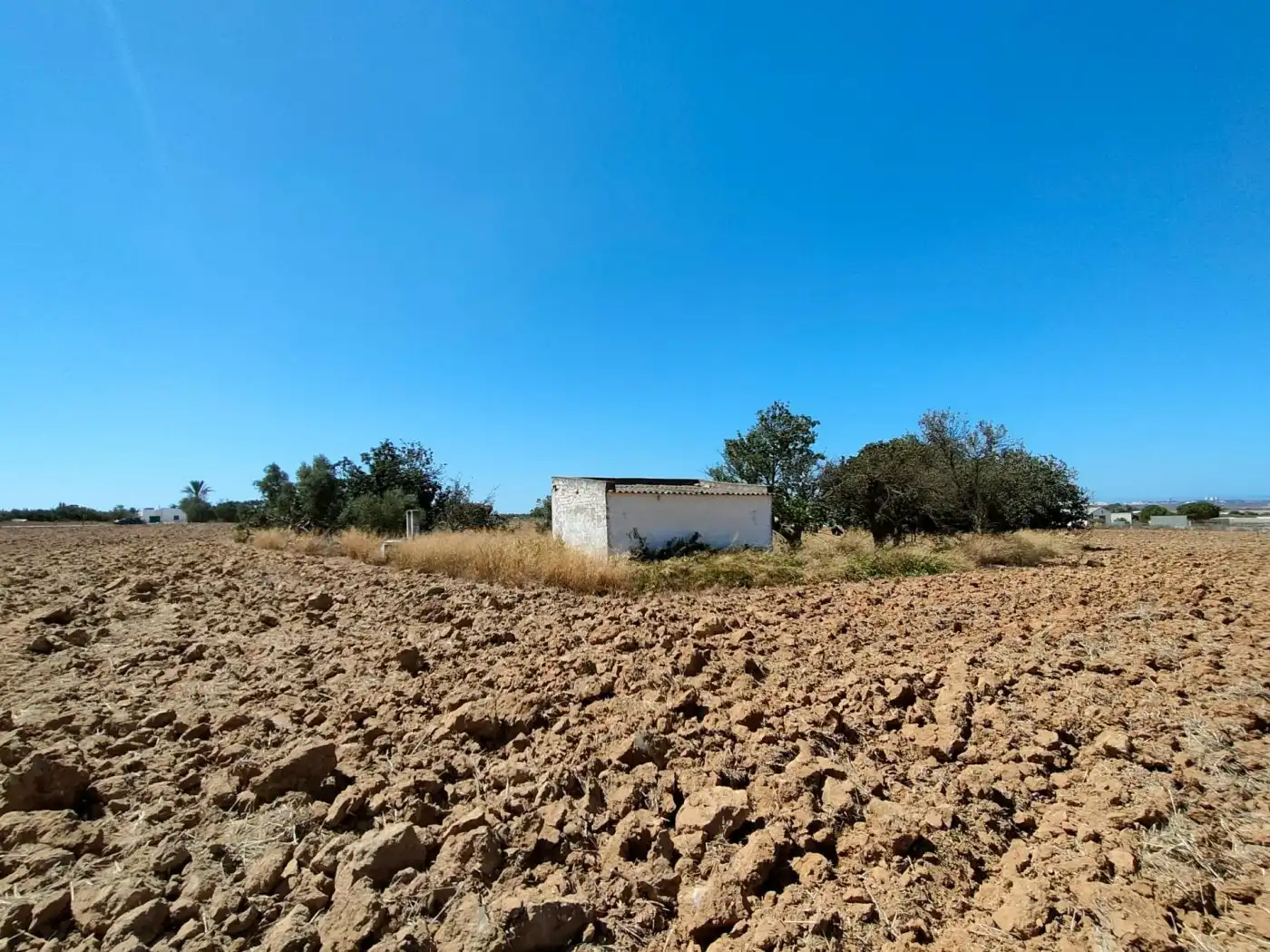 Country homes for sale in Puerto Real