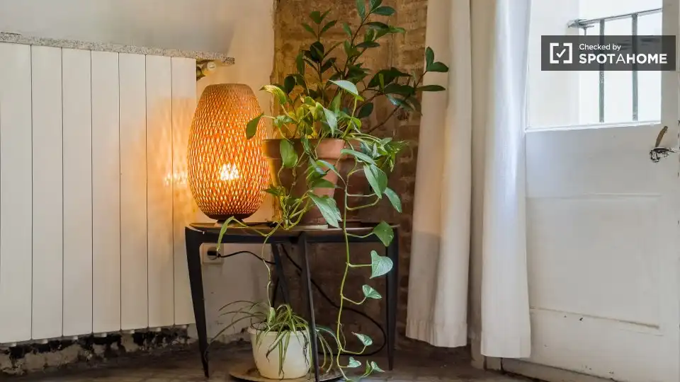 Terrassa de Pis de lloguer en  Barcelona Capital amb Aire condicionat, Calefacció i Moblat