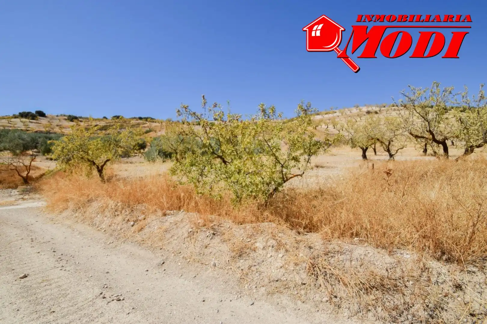 Finca rústica en venda en Cacín amb Jardí privat