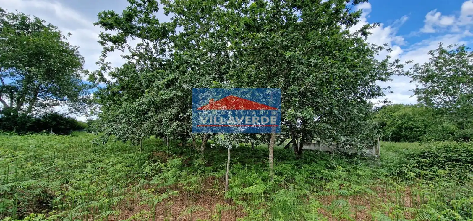 Residential for sale in Bueu