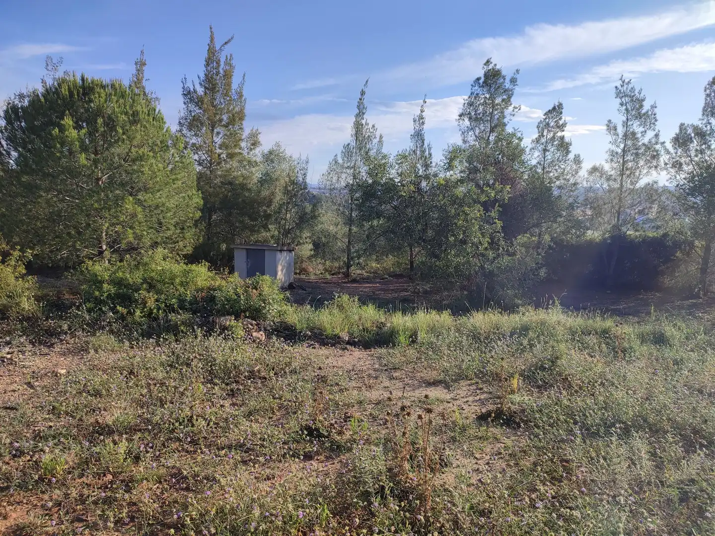 Finca rústica en venta en La Riera de Gaià con Trastero