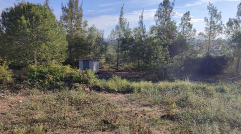 Foto 5 de Finca rústica en venda a Alsineta, La Riera de Gaià, Tarragona