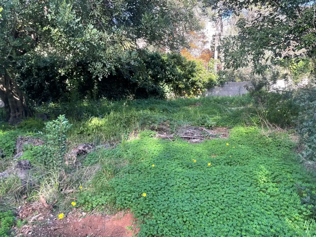 Casa adosada en venta en Barx con Jardín privado y Amueblado