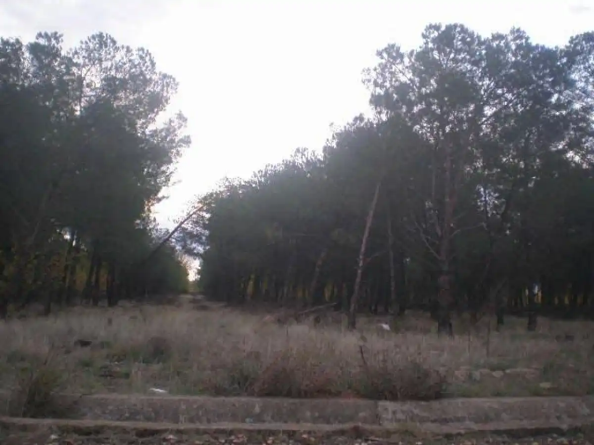 Terreno rustico in vendita a Pelabravo, imagen 3