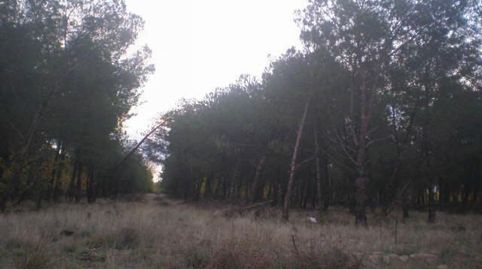 Foto 3 von Grundstücke zum Verkauf in Pelabravo, Salamanca