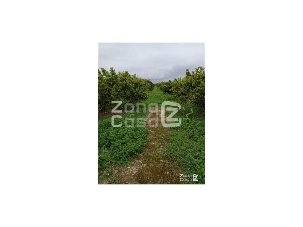 Country house for sale in Algemesí, imagen 4