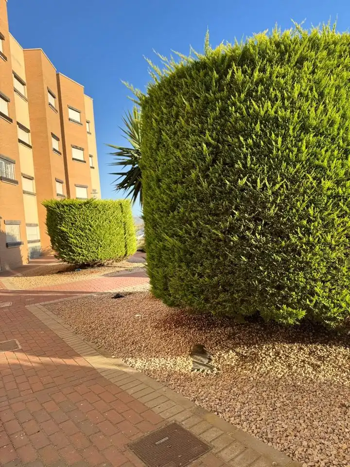 Außenansicht von Wohnung zum Verkauf in Murcia mit Klimaanlage, Terrasse und Möbliert