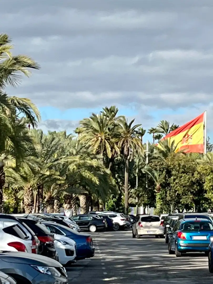 Exterior view of Ground floor for sale in Elche / Elx