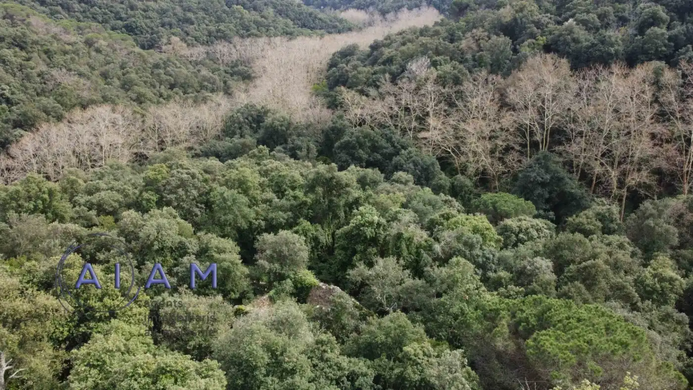 Finca rústica en venta en Santa Susanna