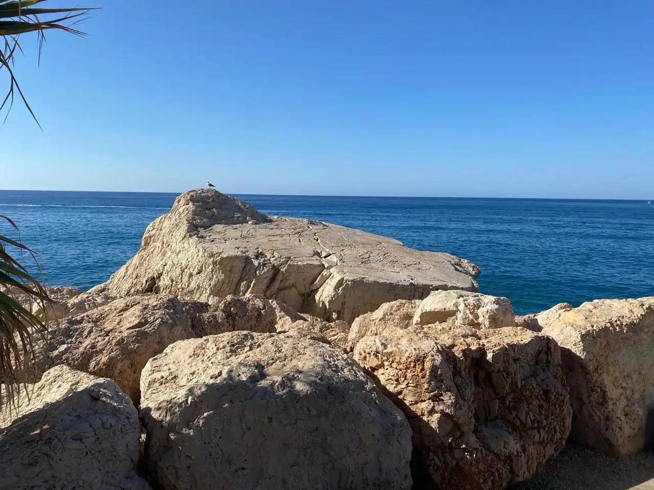 Vista exterior de Edifici en venda en Calpe / Calp