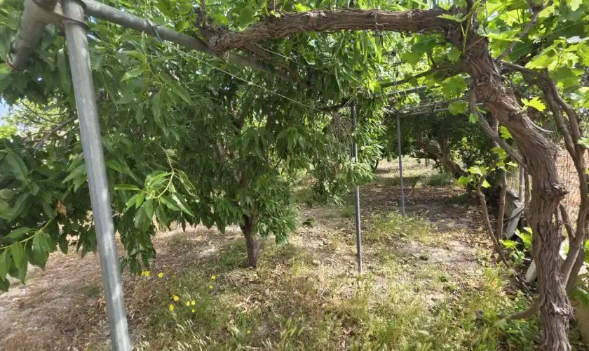 Casa o chalet en venta en Sorbas con Aire acondicionado, Jardín privado y Terraza