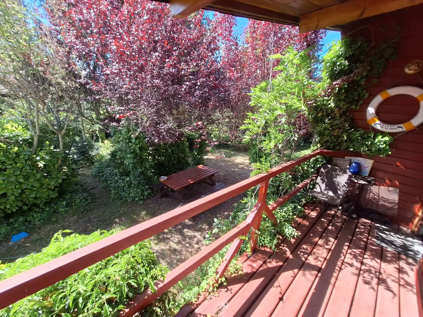 Garden of Houses for sale in Peguerinos