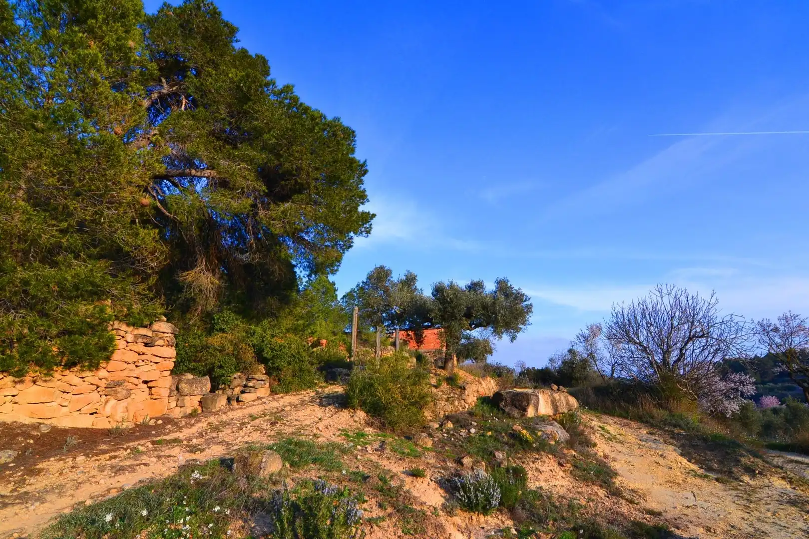 Rural land for sale in Corbera d'Ebre, imagen 13