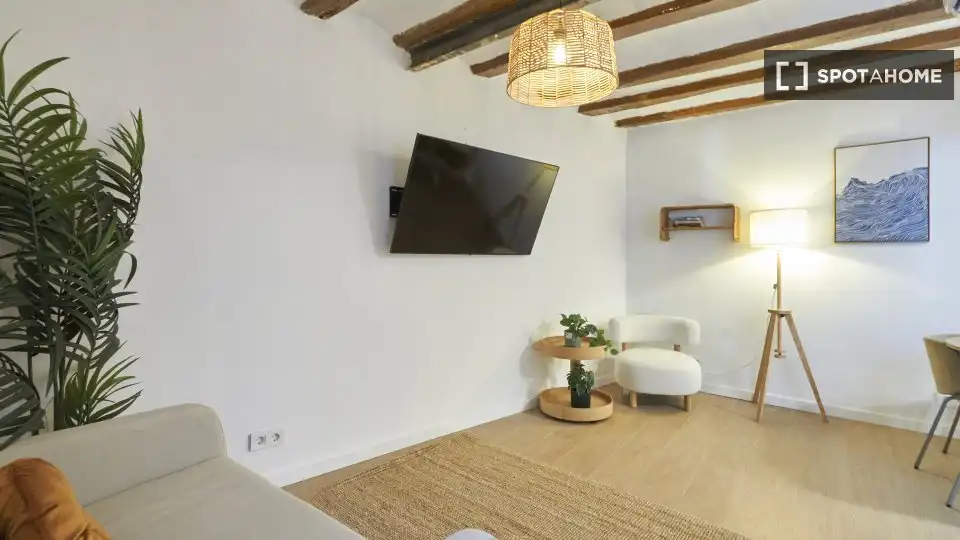 Flat with terrace to rent in Ciutat Vella, imagen 7