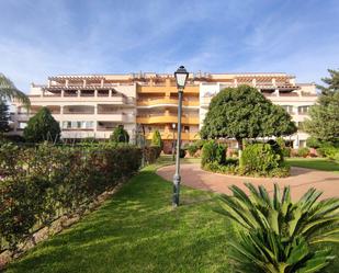 Exterior view of Apartment for sale in Alcaucín  with Terrace