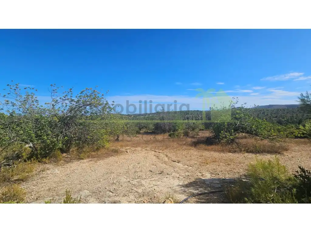 Rural land for sale in Poligono 37 Paraje 351 T Cerver, imagen 8