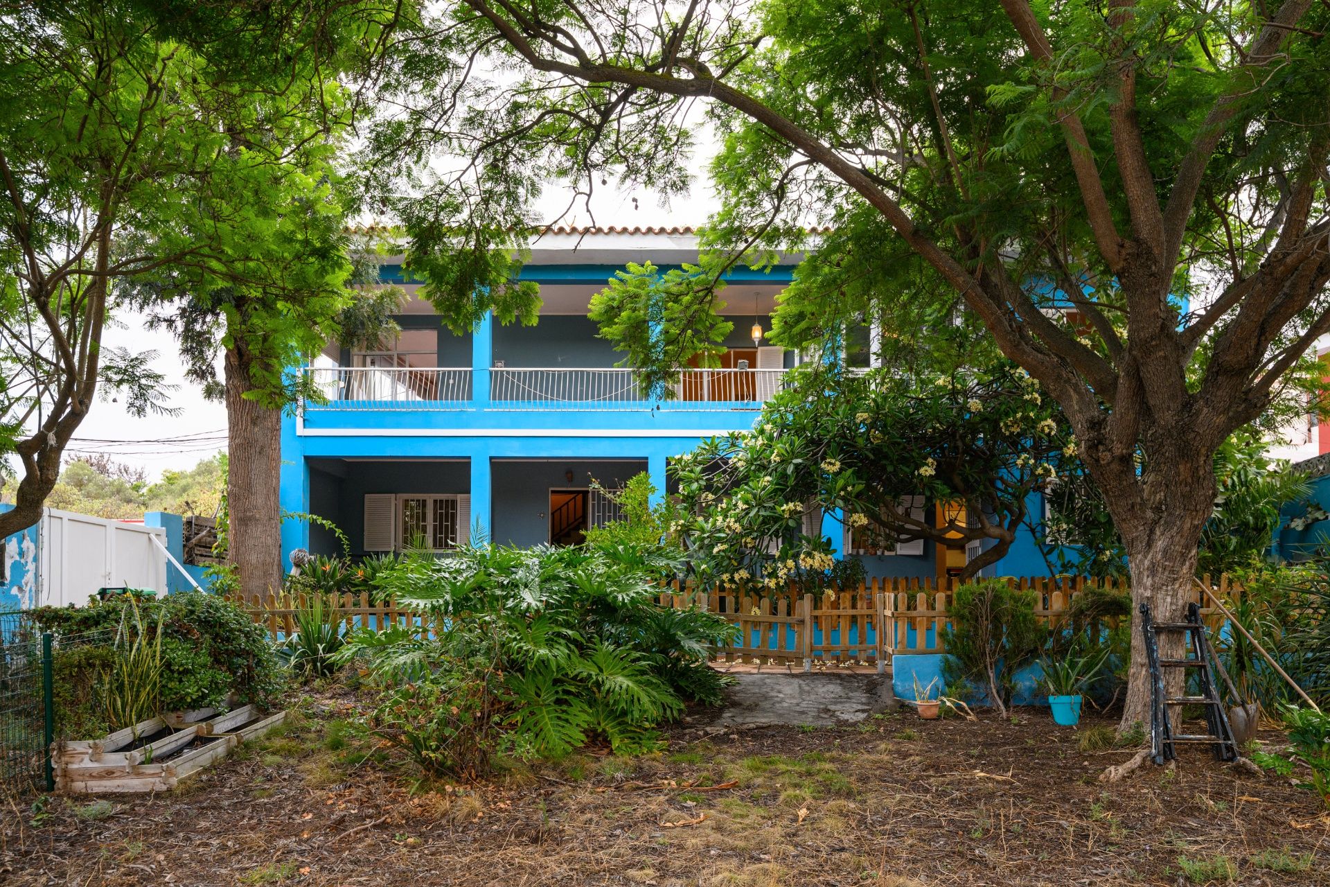 Exterior view of House or chalet for sale in Santa Brígida  with Private garden and Terrace