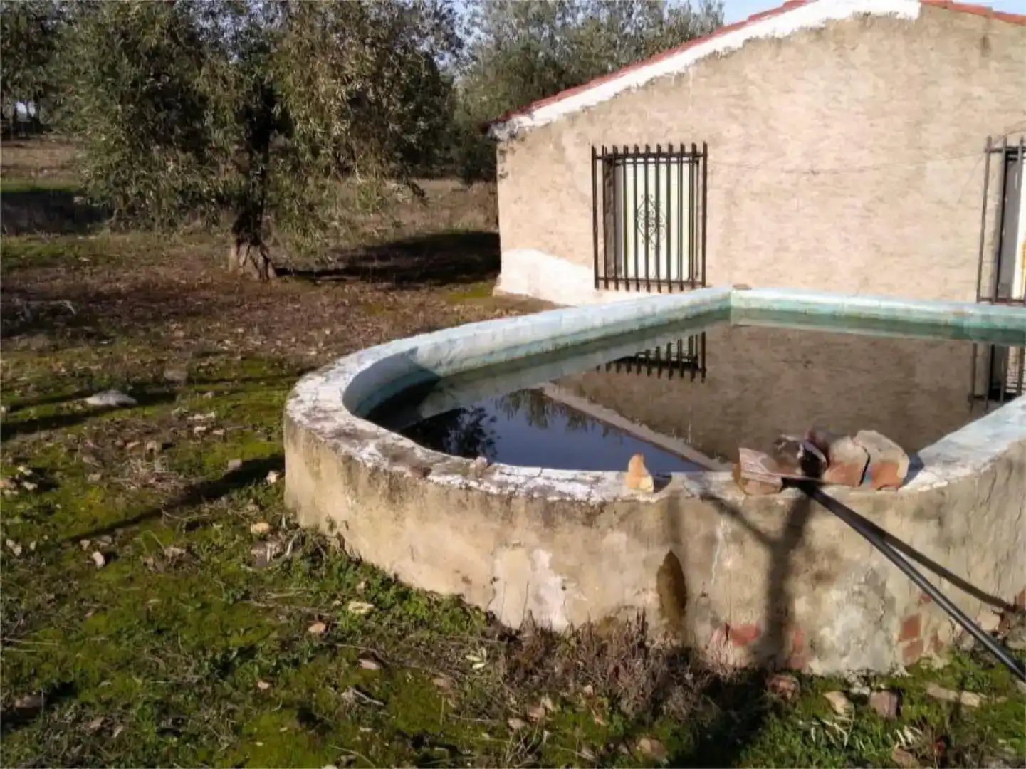 Piscina de Finca rústica en venda en Herrera del Duque amb Jardí privat, Piscina i Moblat