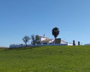 Vista exterior de Finca rústica en venda en Niebla amb Terrassa i Alarma