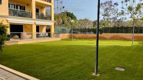 Photo 3 of Planta baja for sale in Peguera, Illes Balears