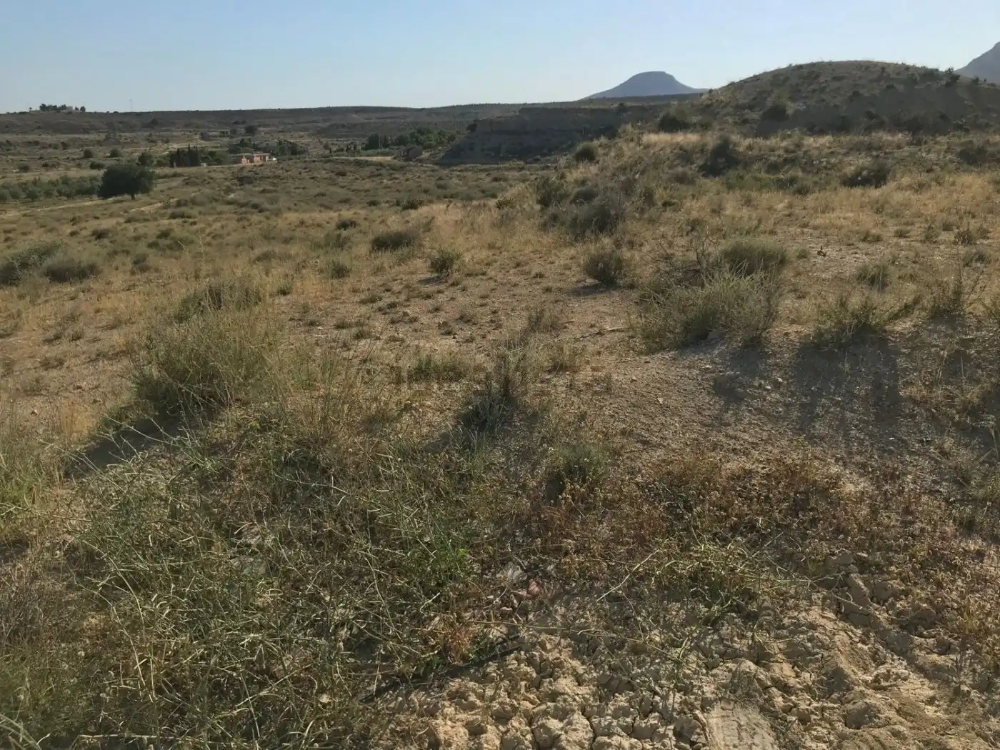 Terreno residenziale in vendita a Calle CALA BLANCA, imagen 4