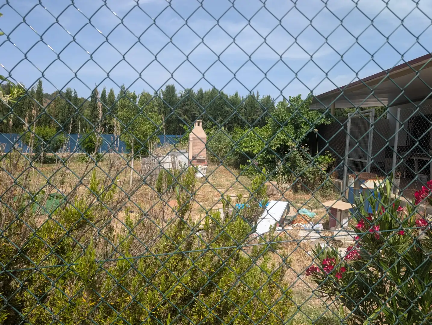 Casa rústica en venda a Alcaudete, imagen 4