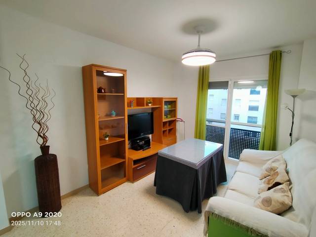 Piso en Alquiler en Calle Pintor Soriano Quiros en Almanjáyar