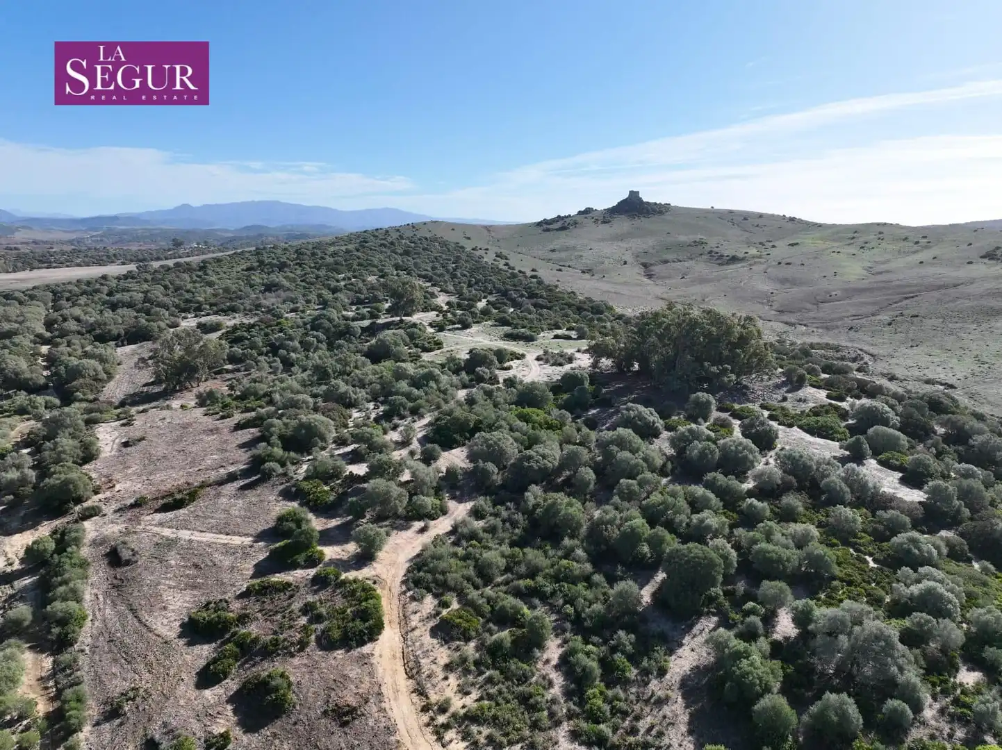 Terreny rústic en venda a Medina Sidonia