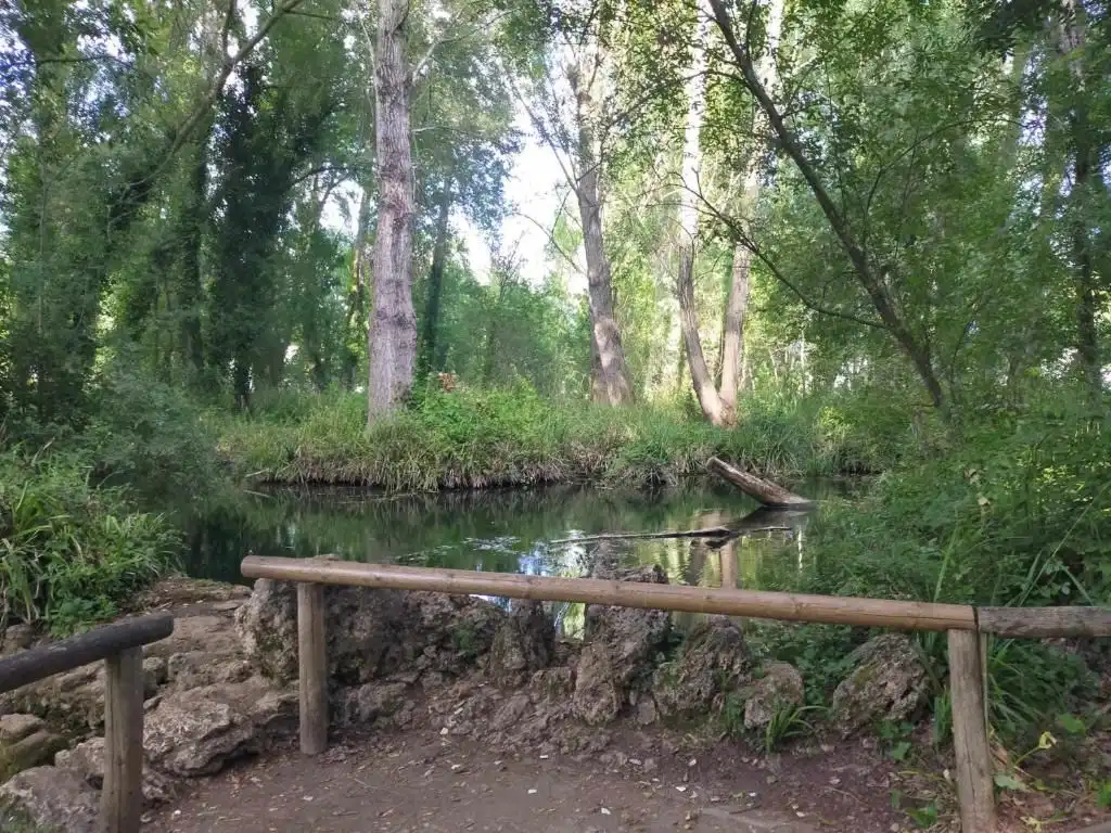 Maison rustique avec jardin à vendre à Calle TOMILLO, imagen 29