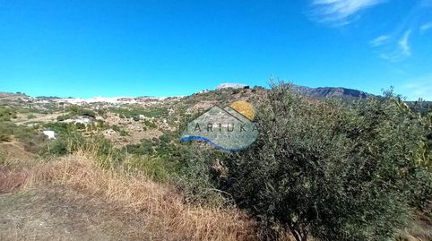 Foto 3 de Finca rústica en venta en Camino de las Herrerías, Yunquera, Málaga