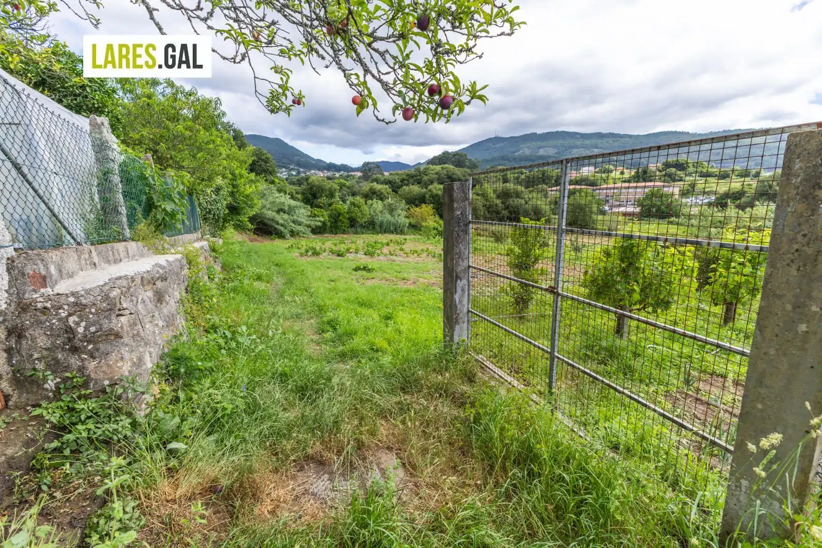 Terrain rustique à vendre à Lugar de Pozonegro, imagen 14