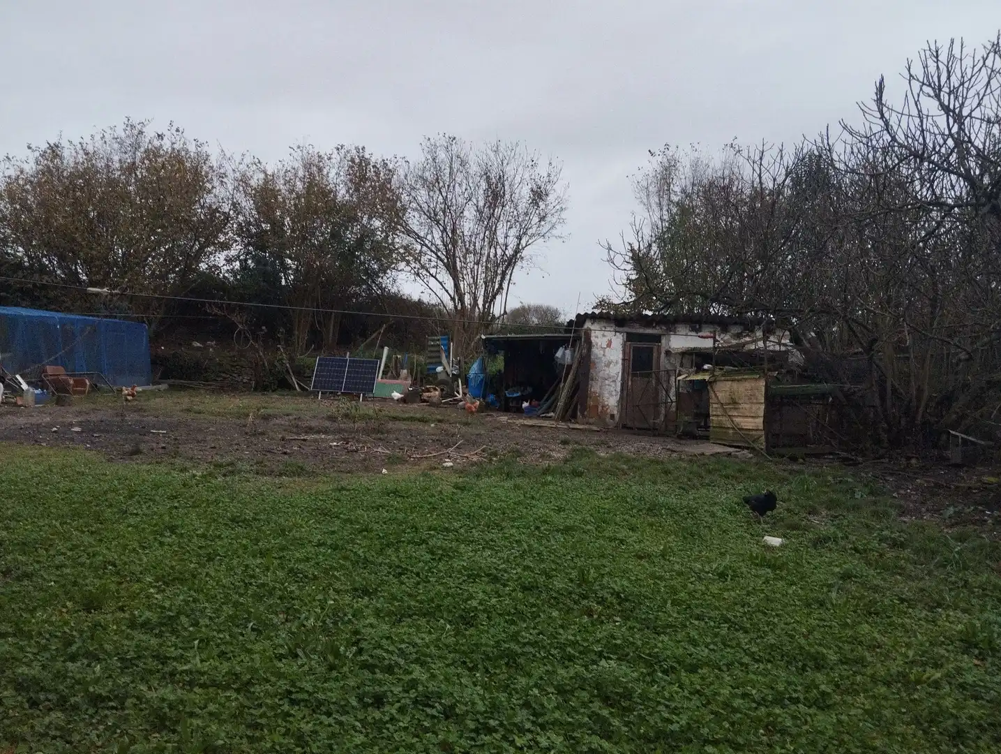 Casa con jardín en venta en SAN PEDRO, imagen 14