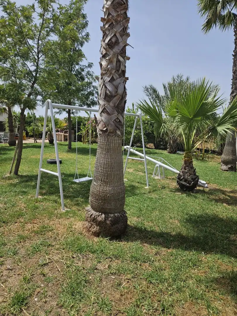 Jardí de Casa o xalet en venda en Fuente Palmera amb Aire condicionat, Calefacció i Jardí privat