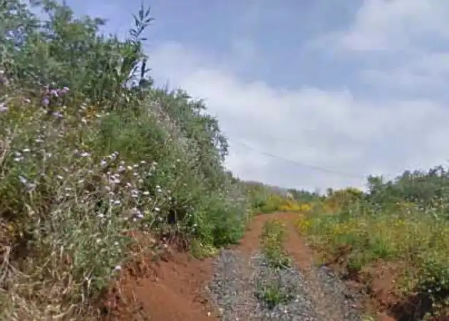 Rustikales Grundstück zum Verkauf in Paraje el Olmo, imagen 6