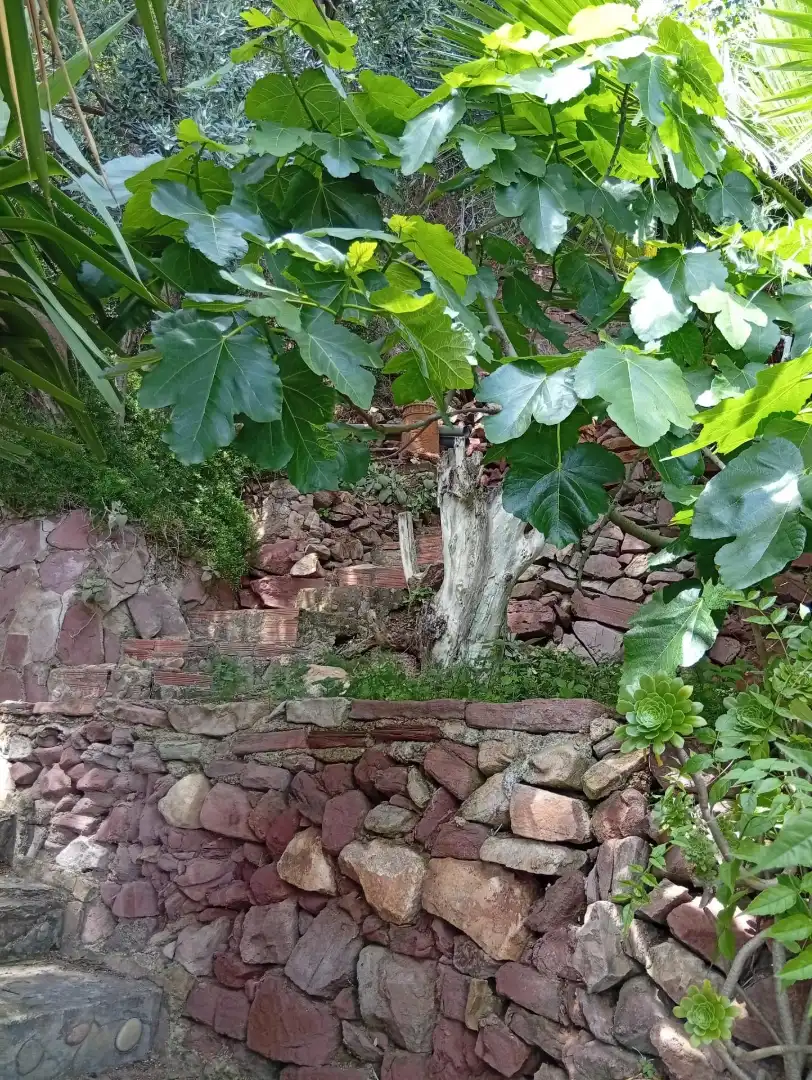 Detached house with terrace for sale in Paseo de las Cumbres, imagen 14
