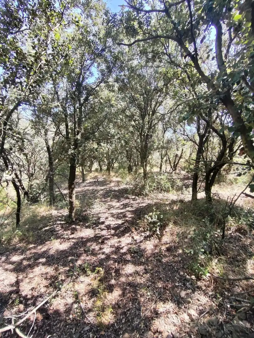 Terreny residencial en venda a T-704 2, imagen 13