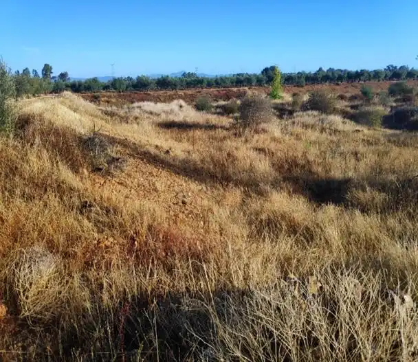 Residencial en venta en Navalvillar de Pela