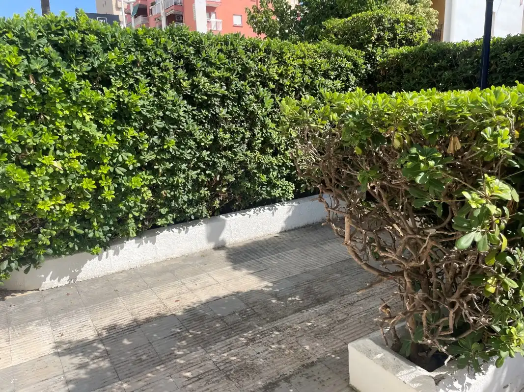 Apartament amb ascensor de lloguer a Carrer de les Barraques, imagen 38