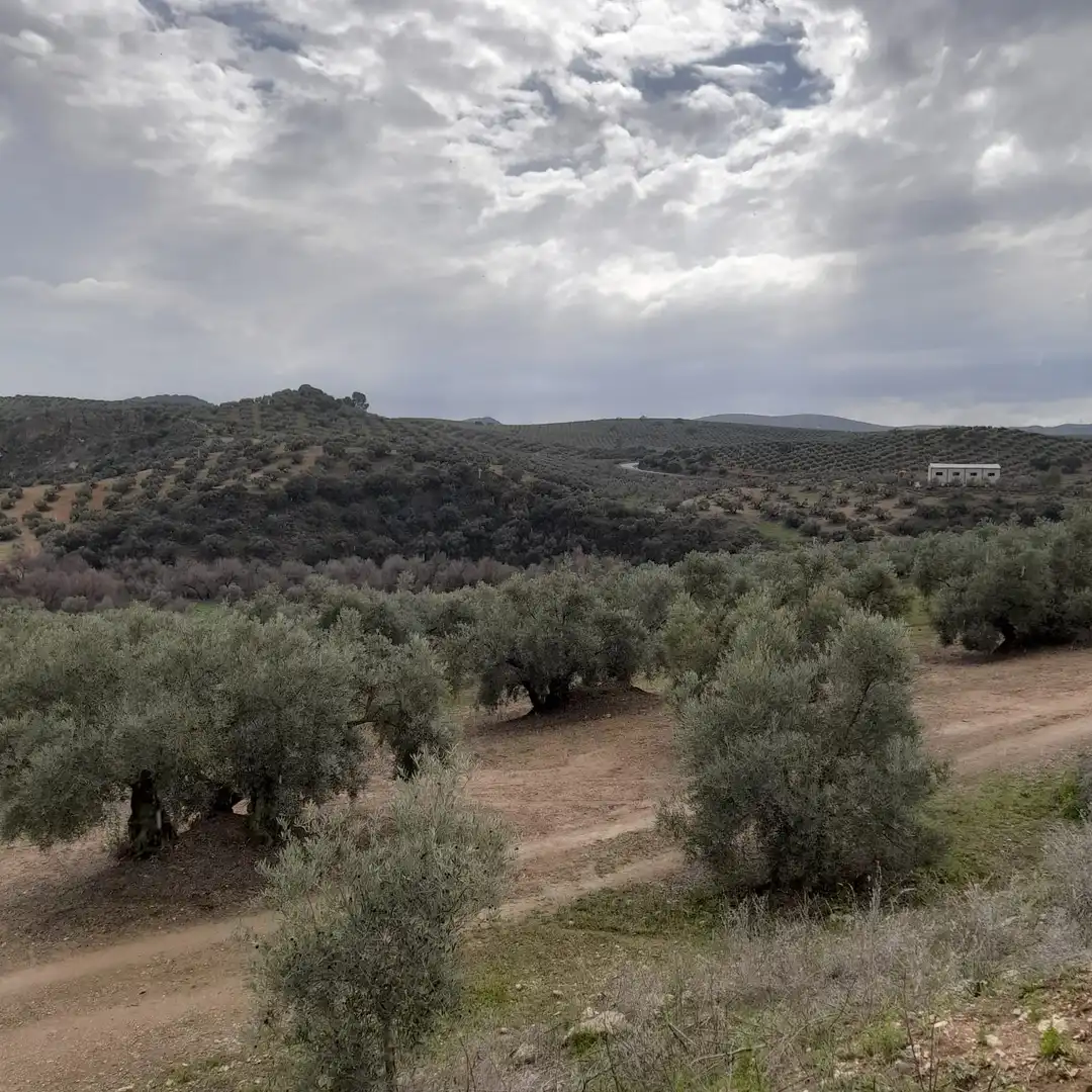 Finca rústica en venda en Encinas Reales