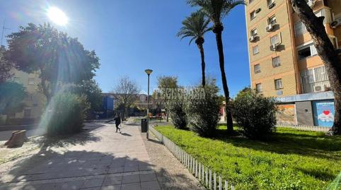 Foto 2 de Piso en venta en Pino Montano - Consolación, Sevilla