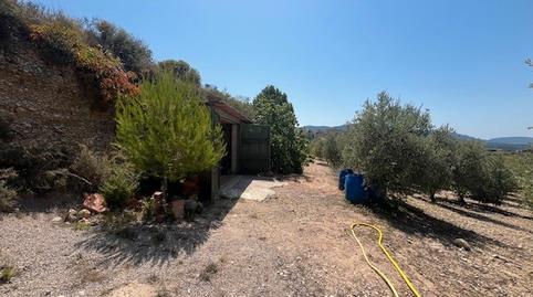 Foto 5 de Finca rústica en venda a Barberà de la Conca, Tarragona