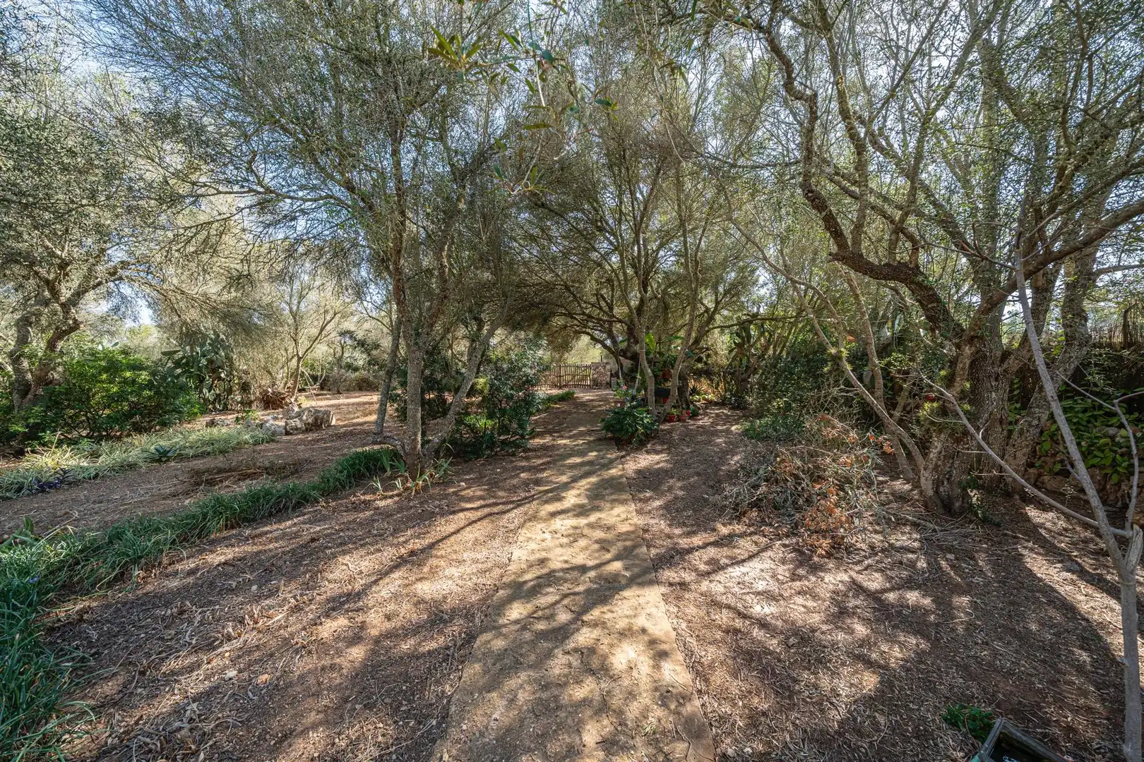 Casa adosada en venta en Campos con Aire acondicionado, Calefacción y Jardín privado